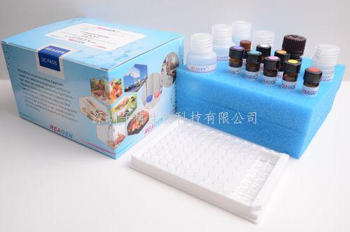 氯霉素检测试剂盒