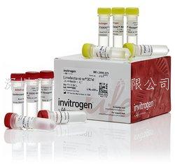 Lipofectamine? 2000转染试剂